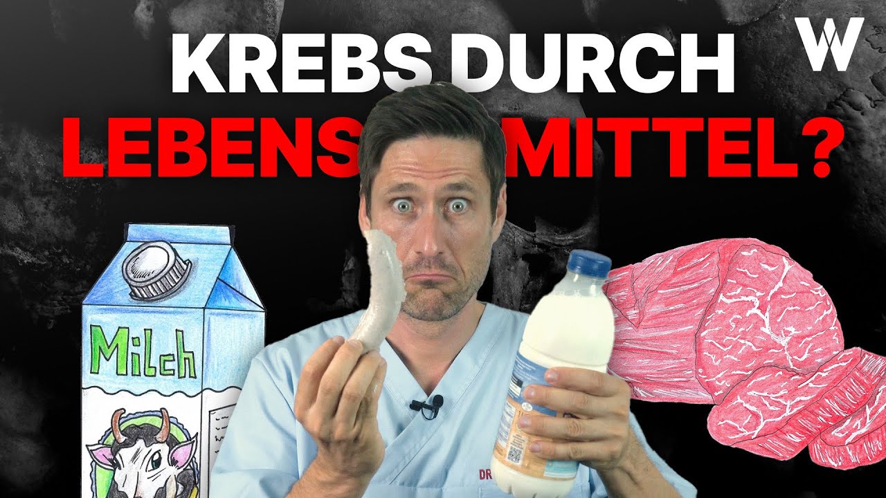 Diese Lebensmittel machen Krebs: Krebs durch falsche Ernährung? Darauf sollten Sie achten!