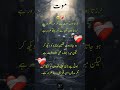 #on death shyeri#hearttouching #sadpoetry #urdupoetry #virelshorts