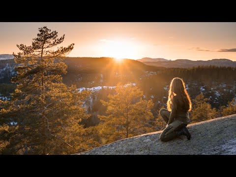 my life in the Norwegian forest. Story 7