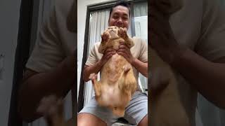 Kenalin Member Ketujuh Katseye