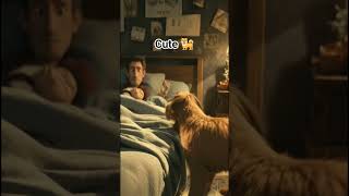 "Hero Dog Saved a Life! 🐶 Amazing True Dog" #shortvideo #viral