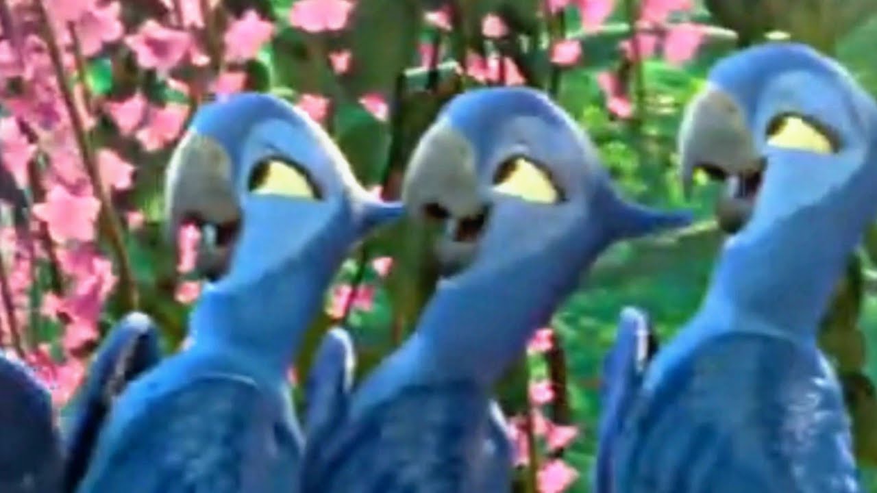 Beautiful Blue Macaw 2 - Better color background 1 Default (Repeatedly, no sound)