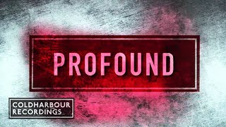 Solid Stone - Profound