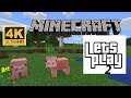 Minecraft Survival - Let&#39;s Play - Episode 2 &quot;Mental Breakdown&quot;