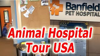 Animal Hospital Tour USA | Extremely Friendly Doctors in Animal Hospital USA | Cat Rabies Shot Cost