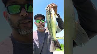 #megabass #jerkbait