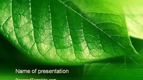 Shiny Green Leaf PowerPoint Template by PoweredTemplate.com