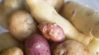 Delish - Growing Potatoes