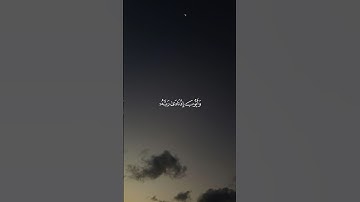 القارئ عبدالله الموسى🌱| #قرآن #قران_كريم #عبدالله_الموسى