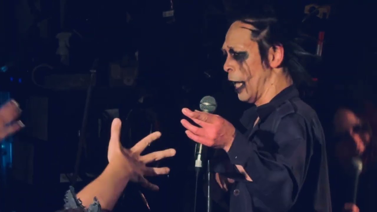 【MUSHA 首振り オーケストラ KUSHA】勝手にしやがれ / 沢田研二【パラノイアテーマパーク参】