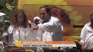 Ana Arı-Paket Arıcılık Projesi