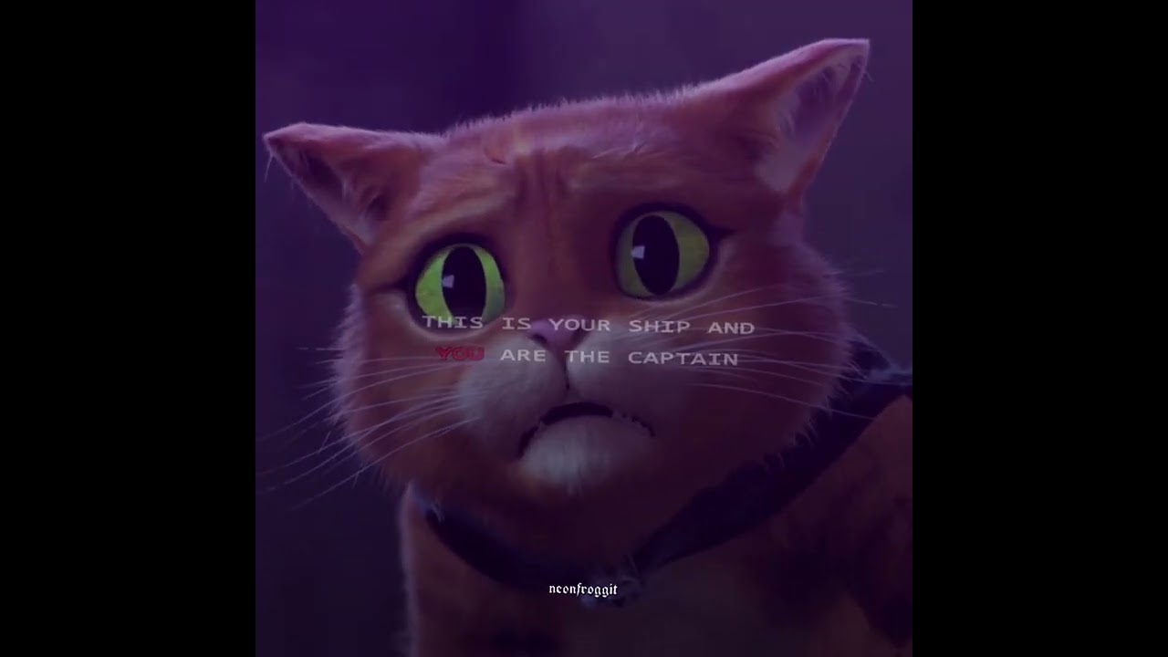 Ship In A Bottle Puss in Boots YouTube