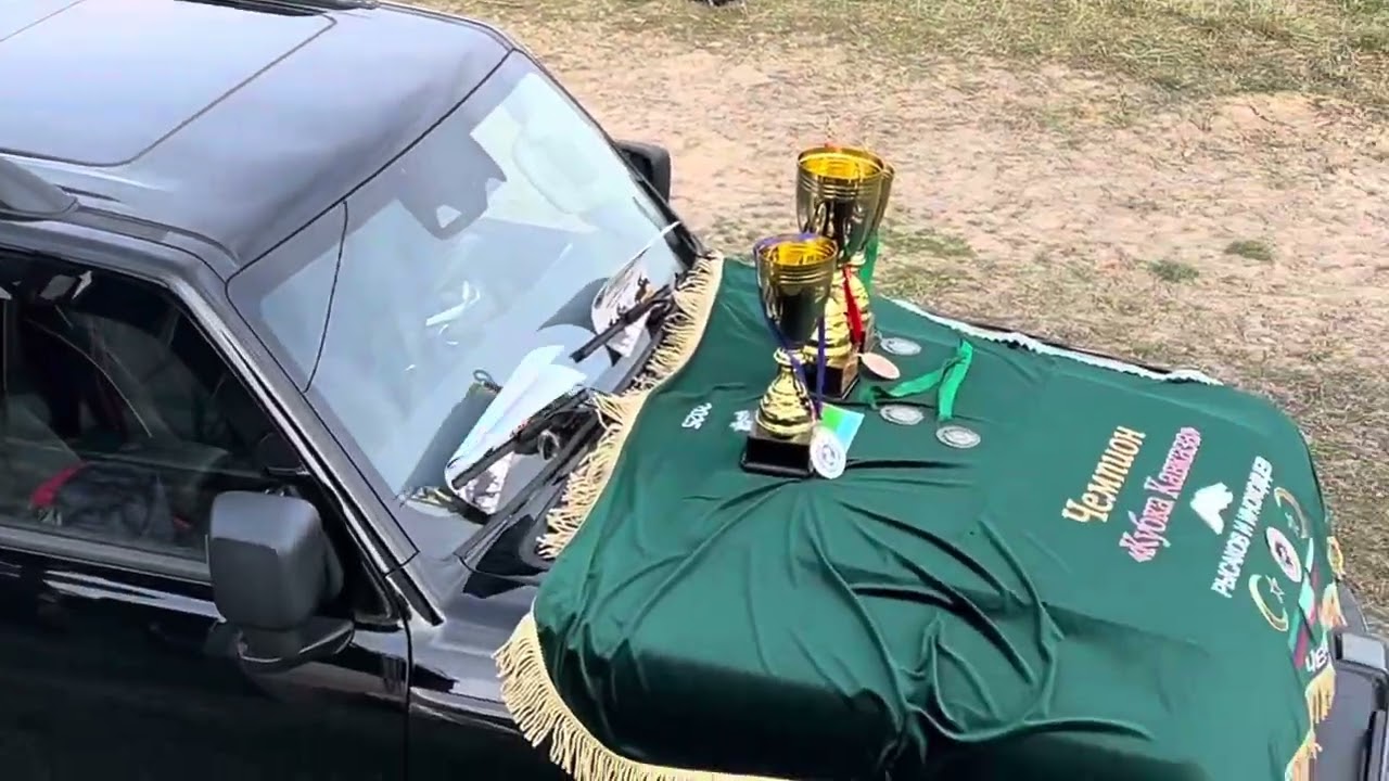 Бега иноходцев и рысаков. Кубок Кавказа 2025