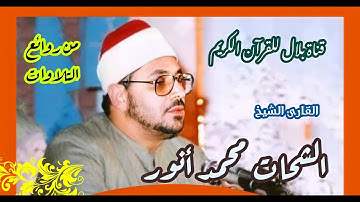 الشيخ الشحات محمد أنور وما تيسر من سورة الأحقاف
