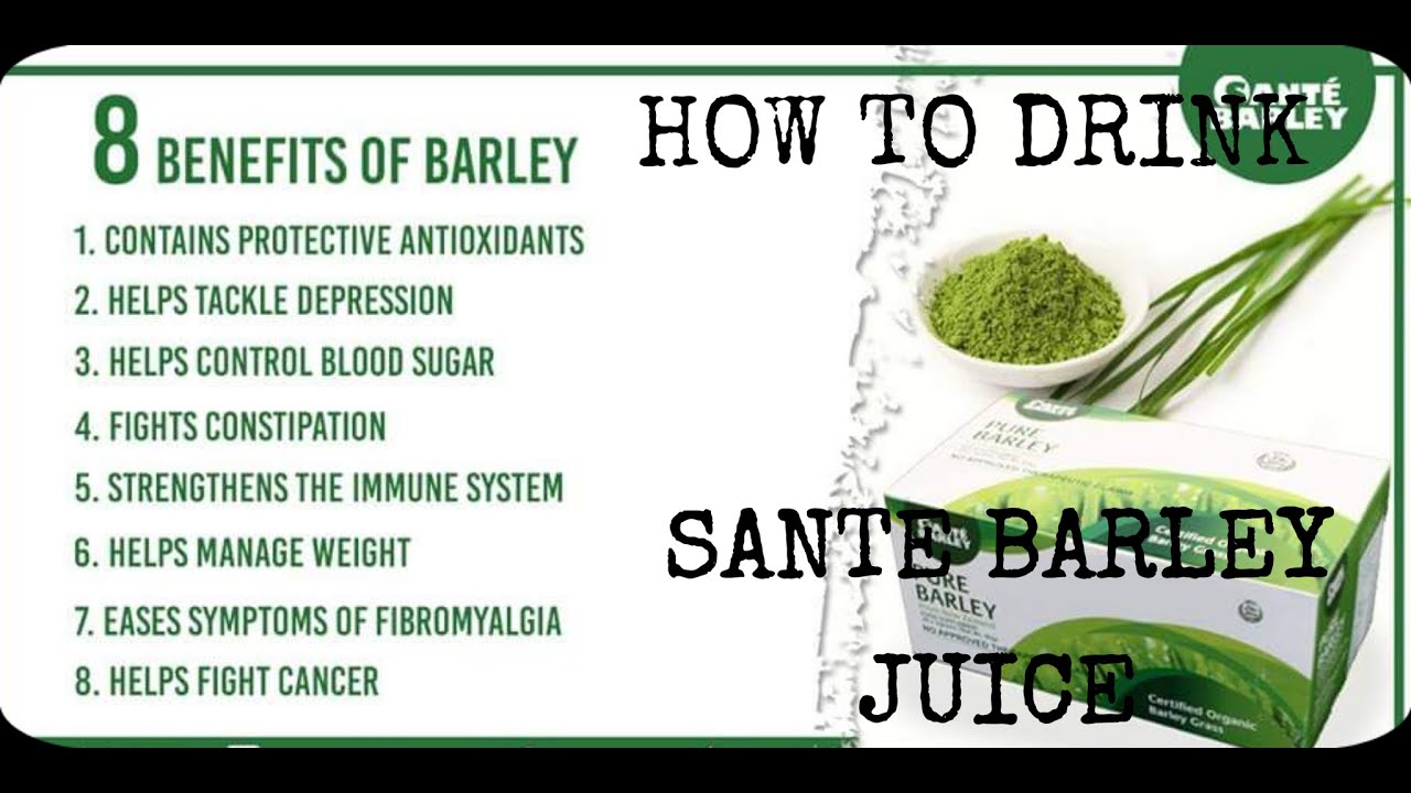SANTE BARLEY JUICE BENEFITS OF PURE BARLEY JUICE The Blooming Mama barley santebarley YouTube
