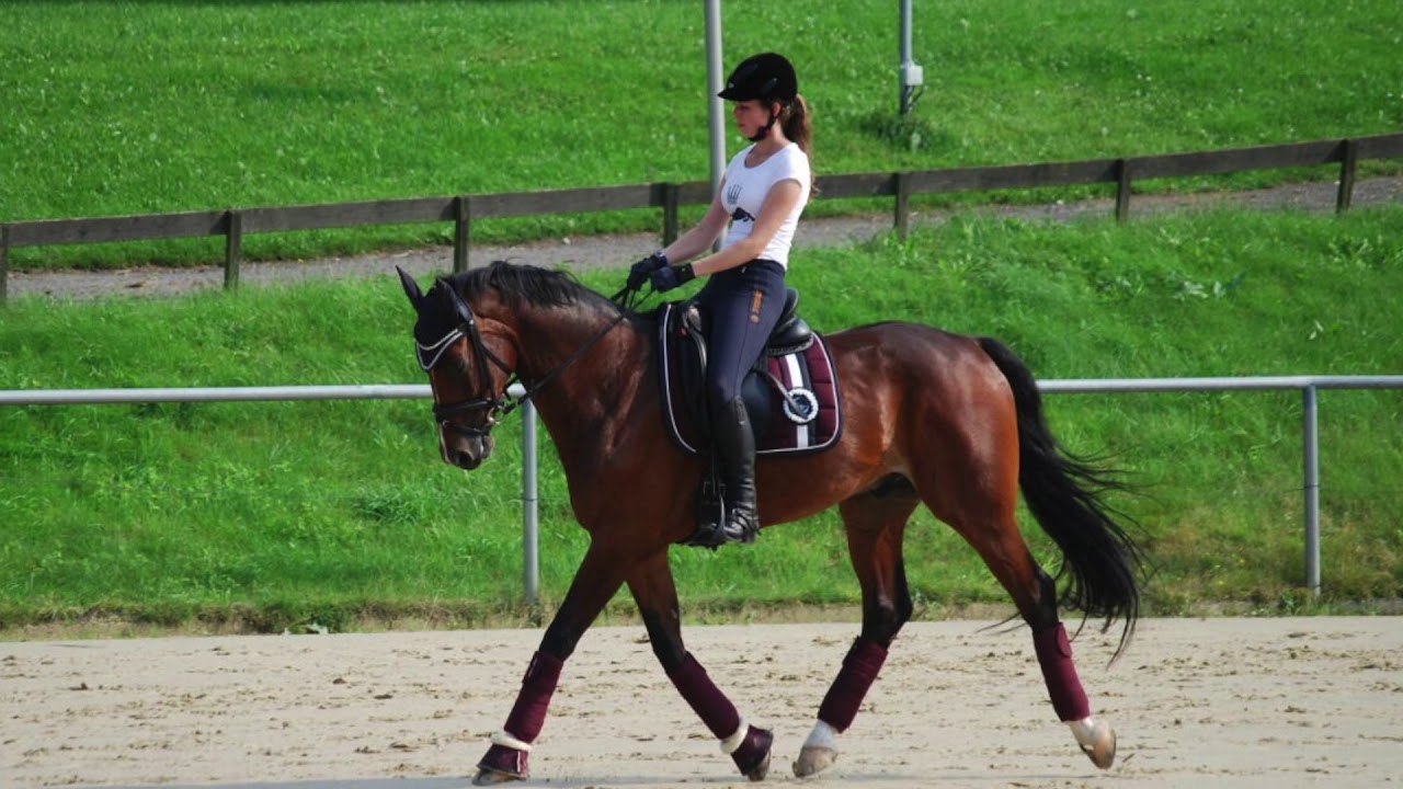 Reiterferien auf Gut Birkenhof