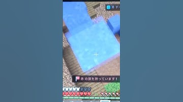 ふむ、、、？#マイクラ#hive#ctf#short