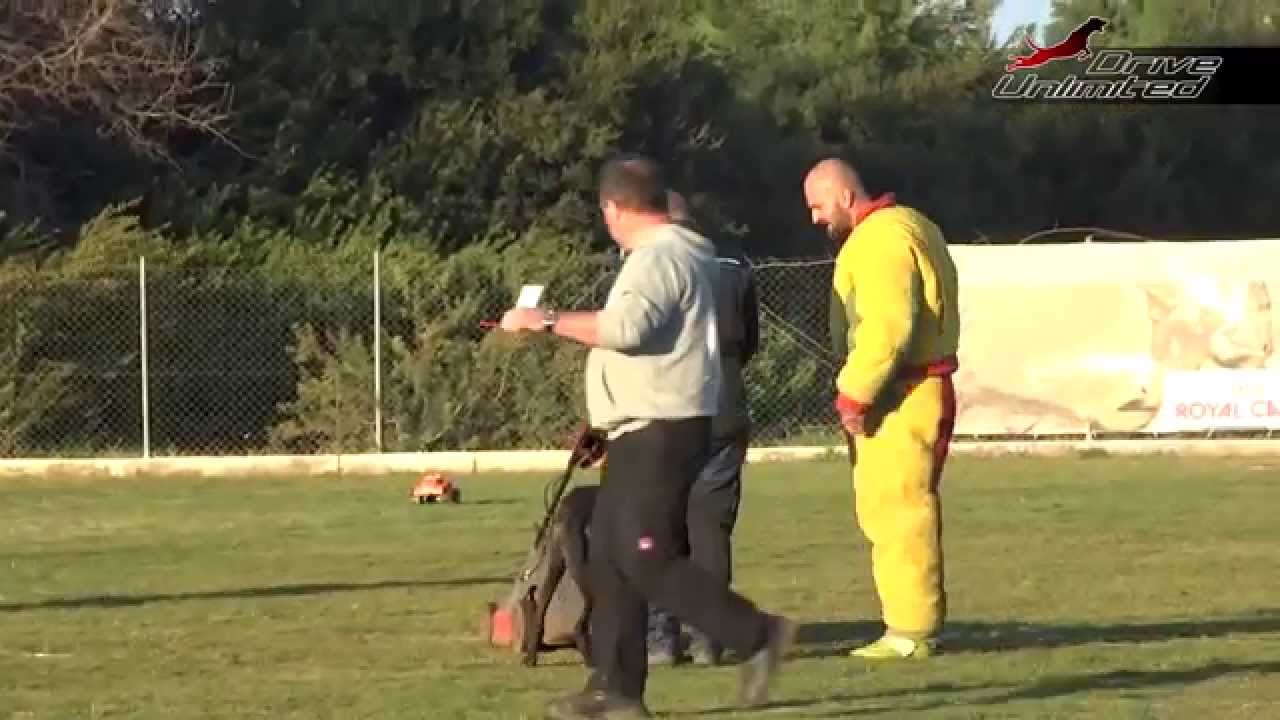 Nemesis Mondioring Cat1 189p.