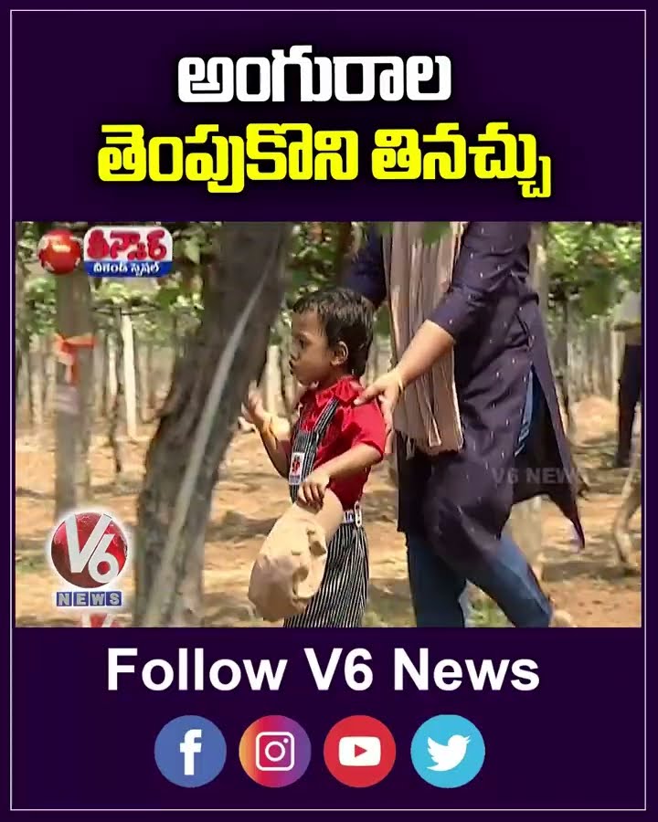 Free Grape Tasting   60 Varieties Of Grapes At Konda Laxman Horticulture University  | V6 Teenmaar