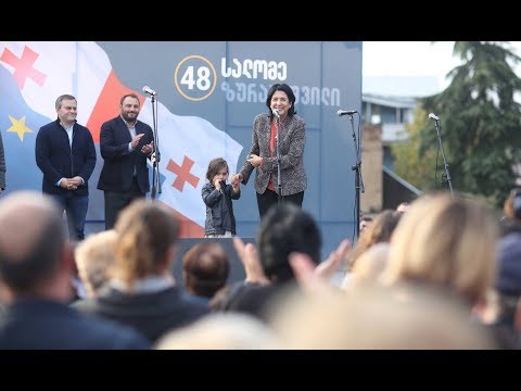 საარჩევნო შეხვედრა ისანში