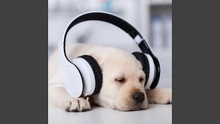 Restful Rhythms of Kittyland
