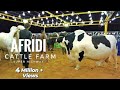 Afridi cattle farm  super highway karachi  cow mandi 2021  expedition pakistan
