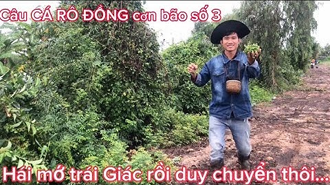 Câu CÁ RÔ ĐỒNG và MÓN CÁ KHO yêu thích , chuyến đi giao lưu cùng những A E rất vui @Caucalongan62