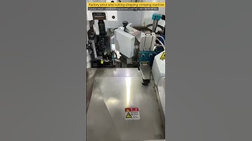 Automatic Wire Cutting Stripping Terminal Crimping Machine#cableassembly#Wire Harness Manufacturing