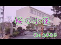 桜の小径/山本あき