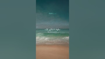 قَلِيلٗا مَّا تَشۡكُرُونَ | من سورة الملك بصوت القارئ احمد خضر مع ترجمة انجليزية | تلاوة خاشعة | HD