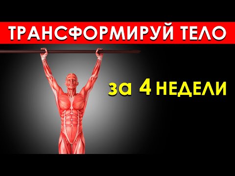 7 Простых Упражнений с Собственным Весом, Которые Трансформируют Ваше Тело за 4 Недели