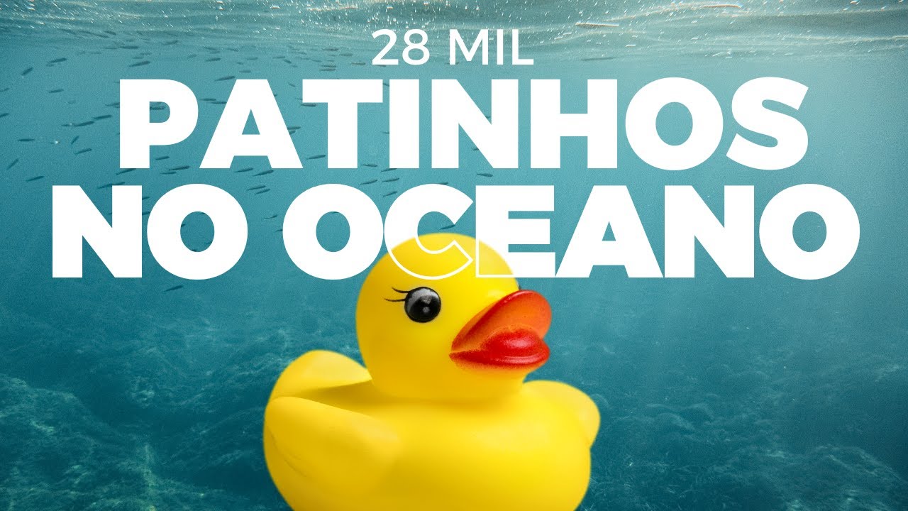 5 DE JANEIRO | 28.800 Patos Caíram no Oceano. Mudaram a Ciência Para Sempre.