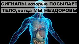 СИГНАЛЫ,которые ПОСЫЛАЕТ ТЕЛО,когда МЫ НЕЗДОРОВЫ - не игнорируйте их . СИГНАЛЫ,которые ПОСЫЛАЕТ ТЕЛО,когда МЫ НЕЗДОРОВЫ - не игнорируйте их .