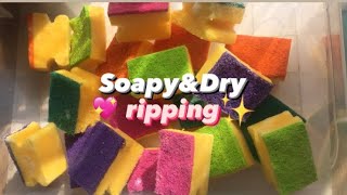 Asmr๐Rainbow Sponges Soapy&Dry Ripping