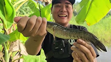 Cái kết không đi câu mà suốt ngày xem điện thoại 