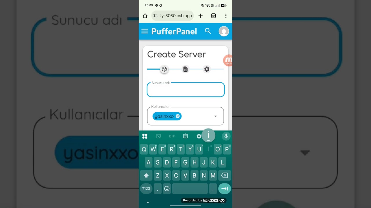 We installed pufferpanel from Codesandbox, but there is more, such as the codes from the beginner