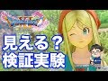 ドラゴンクエスト11【閲覧注意】エマちゃんのパンツがスカートの下から見えるか検証してみた