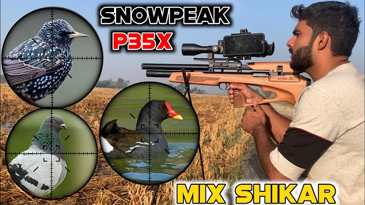 Tilyar'Doves'Waterhens&Wild Pigeon Hunting With Snowpeak P35X|Hunting Season2024-25|AirHunter PK