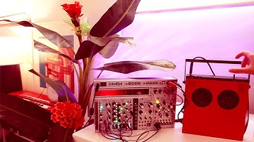 Relaxing Cinematic Music | 0B-4 + Qu-BiT Surface, Bloom + Marbles | Minimal Ambient Eurorack