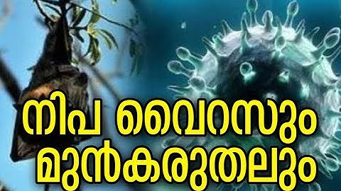 നിപ വൈറസും സ്വീകരിക്കേണ്ട മുന്‍കരുതലും | Nipah Virus And Precautions
