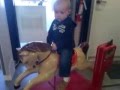 15 month old horseman