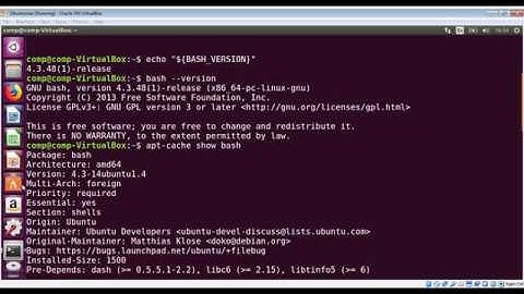 How to check bash version