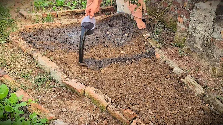 Struggling in Reviving Poor Soil?  his Hack Works Wonders