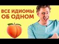 Почему Американцы так часто говорят слово ASS?