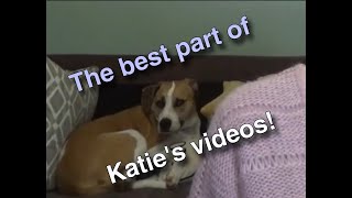 Here, You Can See the Beginnings of a Katie Lie - Katie/Brittany Video