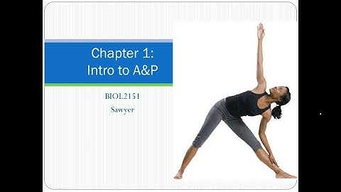 Chapter 1 Lecture Video