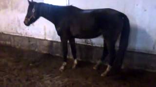 VID-20130217-WA0003.mp4