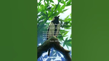 سوره طه آیه 124|قرائت آرامبخش قرآن|وامان اعراضا ذکری|#قرآن #گفتگوی اسلامی128