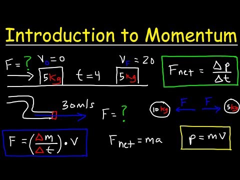 Introduction to Momentum, Force, Newton&rsquo;s Second Law, Conservation of Linear Momentum, Physics