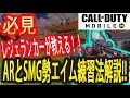 【CoDモバイル】キャラコンとかの前にまずエイム！！レジェンドランカーが教えるARとSMG勢必見のエイム練習方法！！【CoD Mobile】